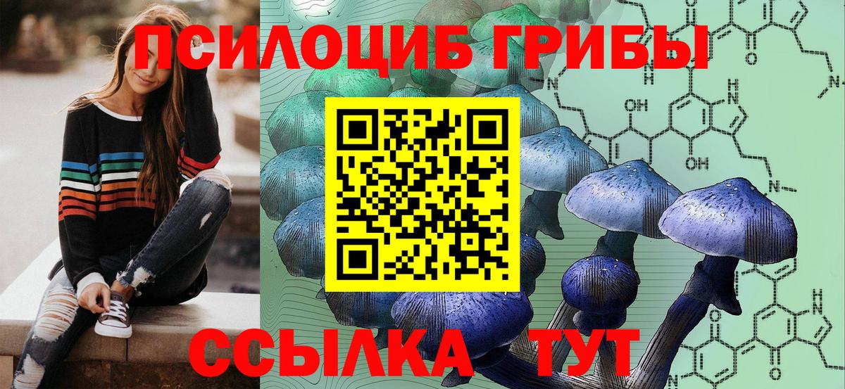 Галлюциногенные грибы прущие грибы  Вход с VPN  Кисловодск 